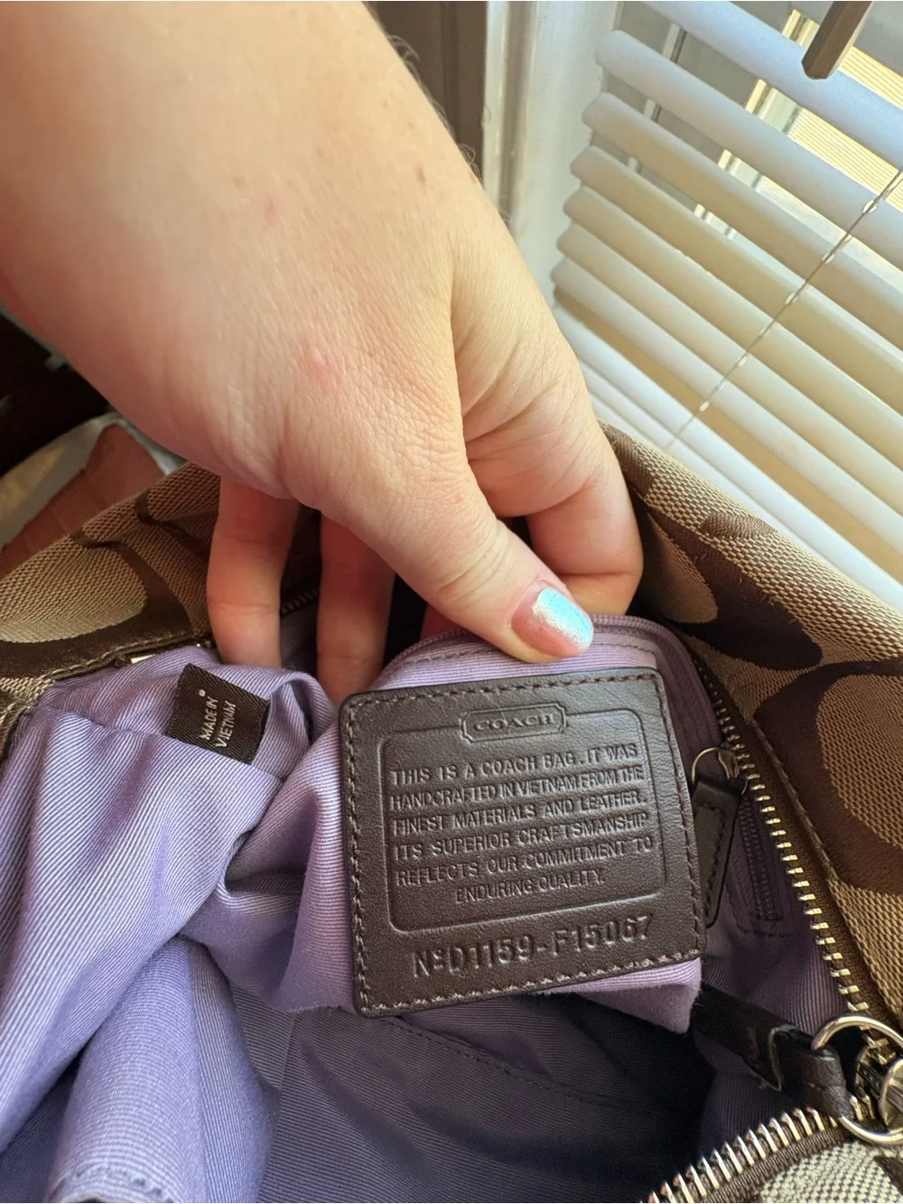 Coach Carly Hobo Bag